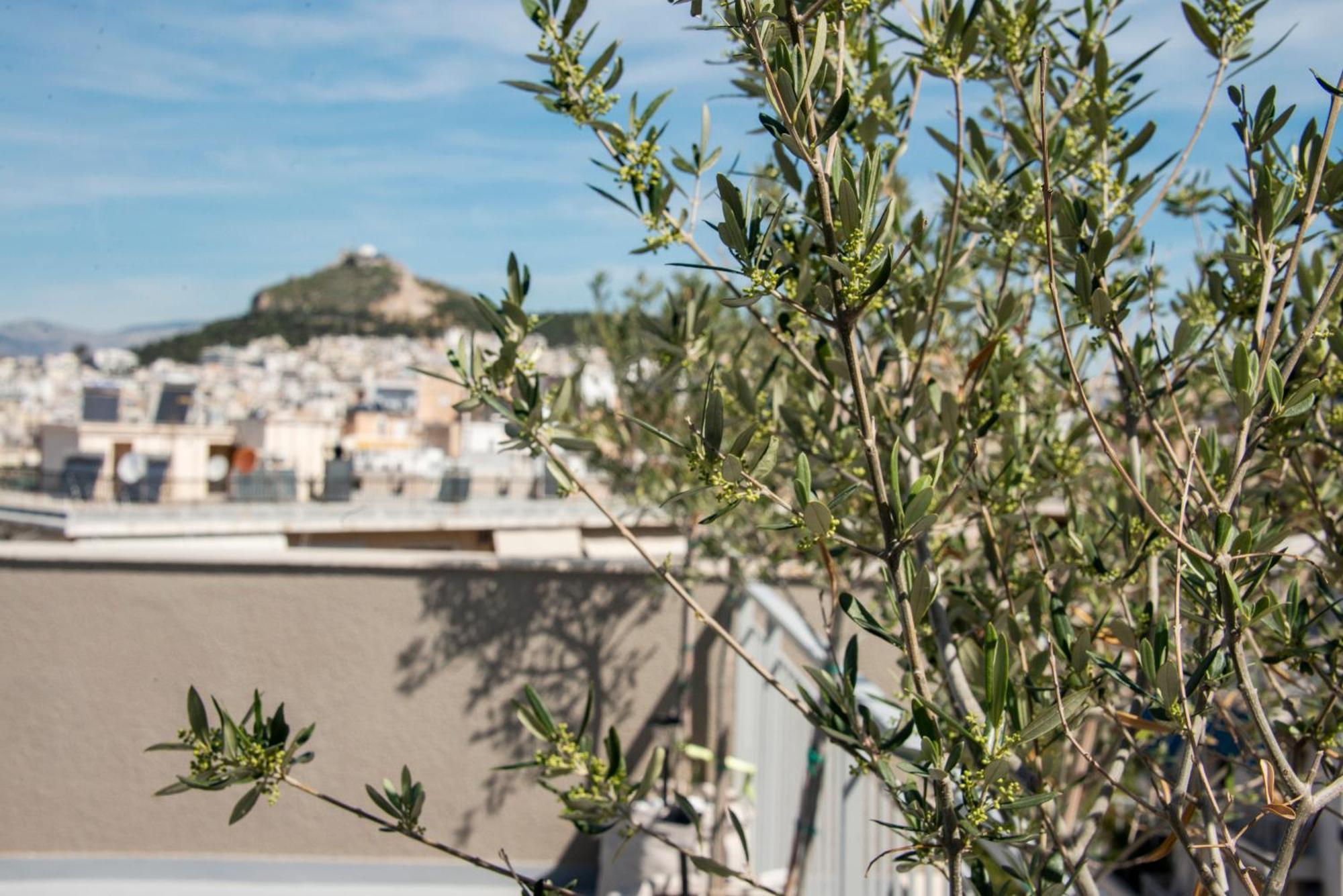The Athenian Oasis Διαμέρισμα Εξωτερικό φωτογραφία